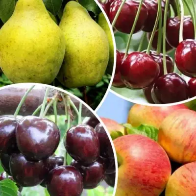 Комплект НАСЛАЖДЕНИЕ в Новополоцке