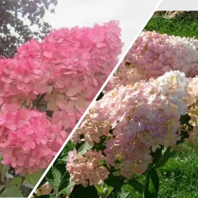 Комплект МНОГОГРАННОСТЬ в Новополоцке