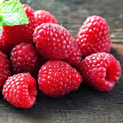 Малина ЭРИКА в Новополоцке