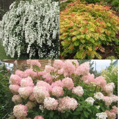 Комплект ФЕЙЕРВЕРК ЛЕТА в Новополоцке