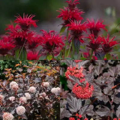 Комплект ОГНЕННЫЙ МИКС в Новополоцке