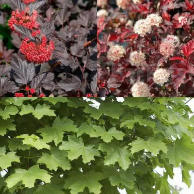 Комплект ОСЕННИЙ КОСТЕР в Новополоцке