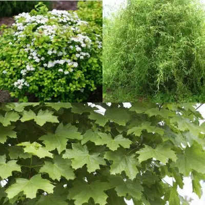 Комплект ЗЕЛЕНЫЙ ОАЗИС в Новополоцке