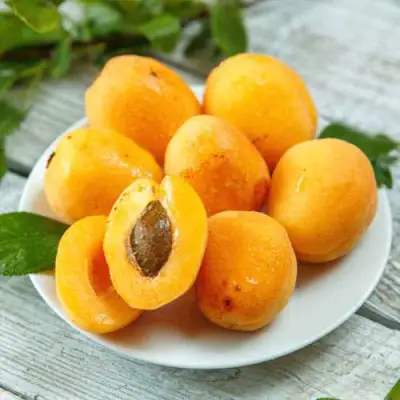 Абрикос АНАНАСНЫЙ в Новополоцке