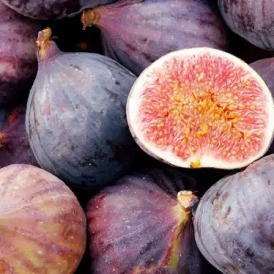 Инжир МУАССОН в Новополоцке