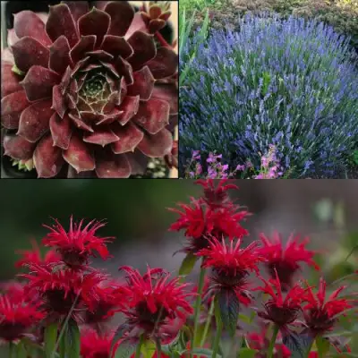 Комплект ФИОЛЕТОВОЕ ВДОХНОВЕНИЕ в Новополоцке