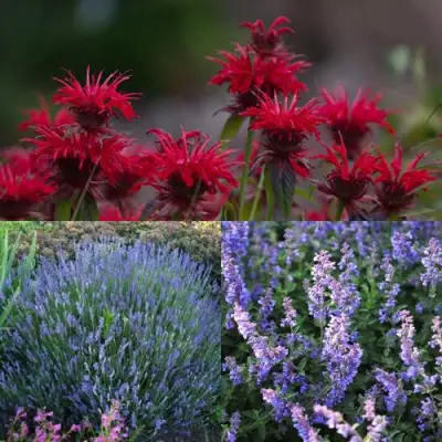 Комплект АРОМАТНЫЙ ЧАЙ в Новополоцке