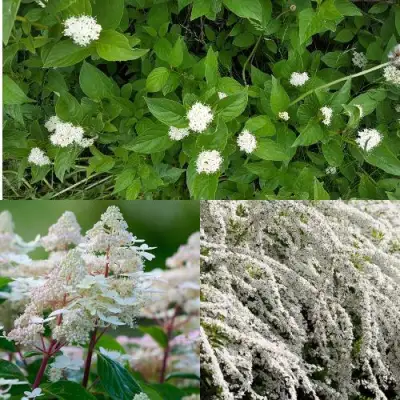 Комплект СКАНДИНАВСКИЙ СТИЛЬ в Новополоцке