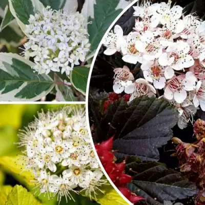 Комплект ЯРКАЯ ВСПЫШКА в Новополоцке