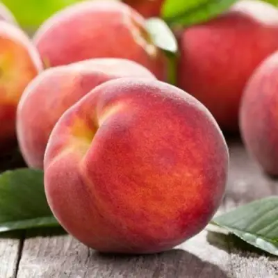 Персик МАЙСКИЙ ЦВЕТОК в Новополоцке