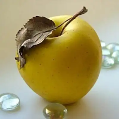 Яблоня АНАНАС в Новополоцке