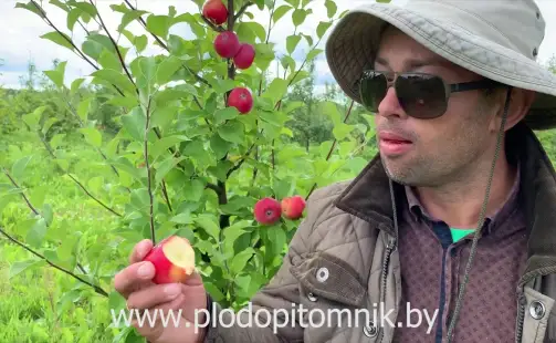 Превью видео