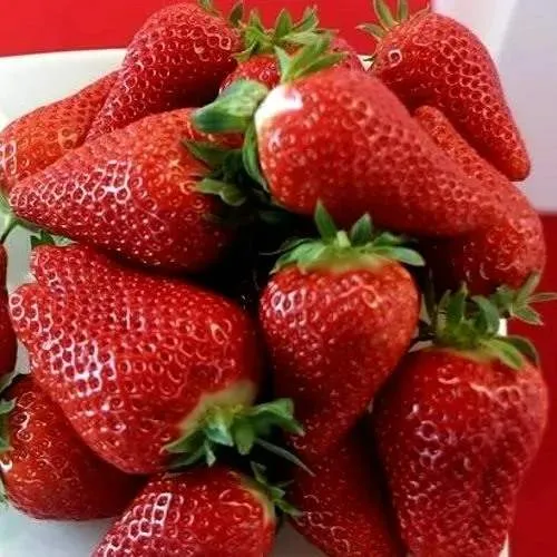 Клубника БРИЛЛА  Клубника БРИЛЛА в Новополоцке