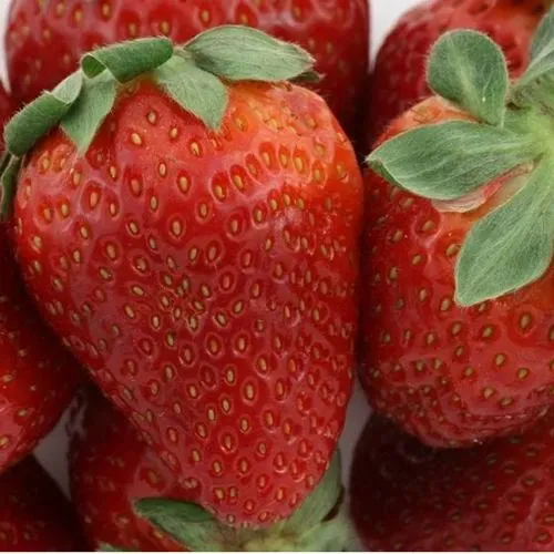 Клубника ФЛАМИНИЯ  Клубника ФЛАМИНИЯ в Новополоцке