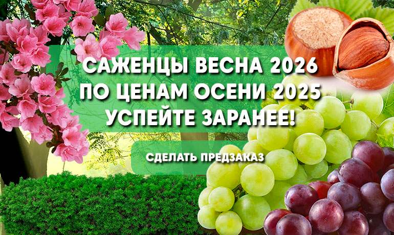 Успейте оформить заказ на весну 2026 по ценам осени 2025