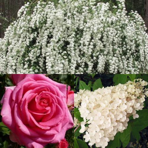 Комплект ВЕЧНАЯ КЛАССИКА в Новополоцке