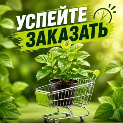 УСПЕЙТЕ ЗАКАЗАТЬ в Новополоцке