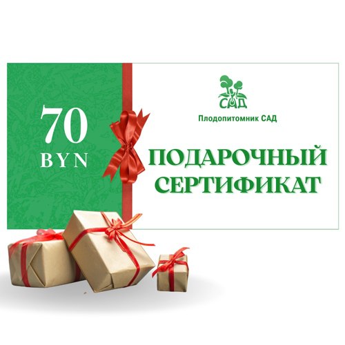 Подарочный сертификат на  70 BYN в Новополоцке