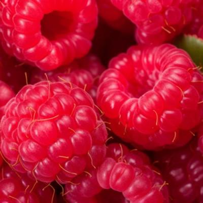 Красная в Новополоцке