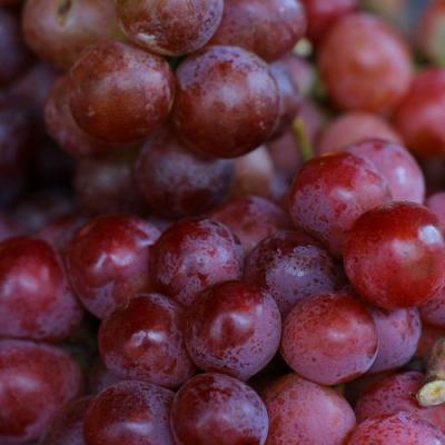 Красный в Новополоцке