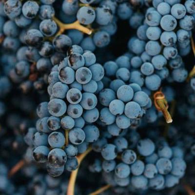 Технический в Новополоцке