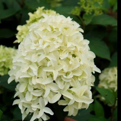 Средние в Новополоцке