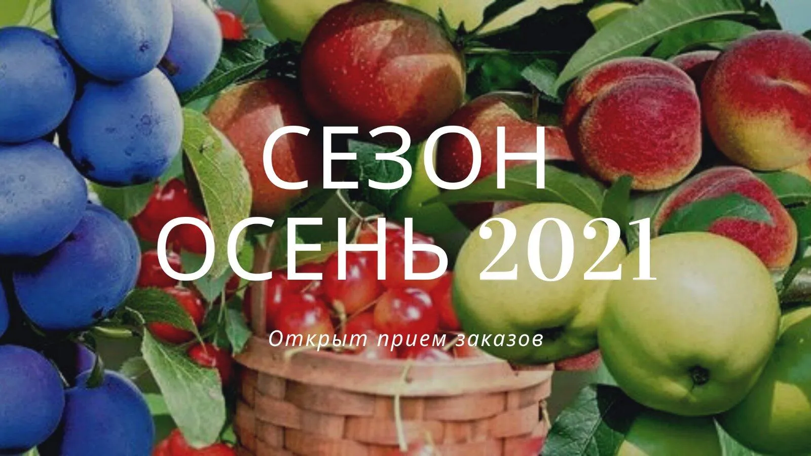 Открыт прием заказов на осень 2021